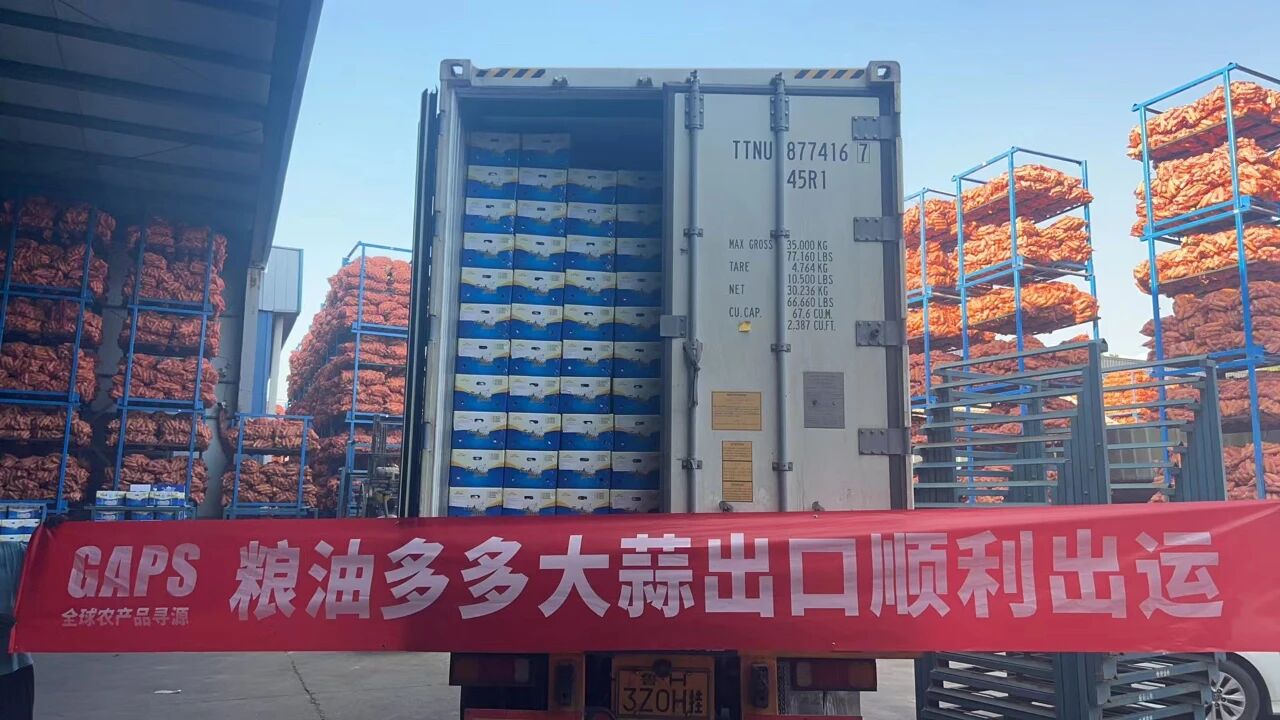  粮油多多GAPS再创佳绩：国产大蒜成功启航肯尼亚，开启跨境璀璨新篇章