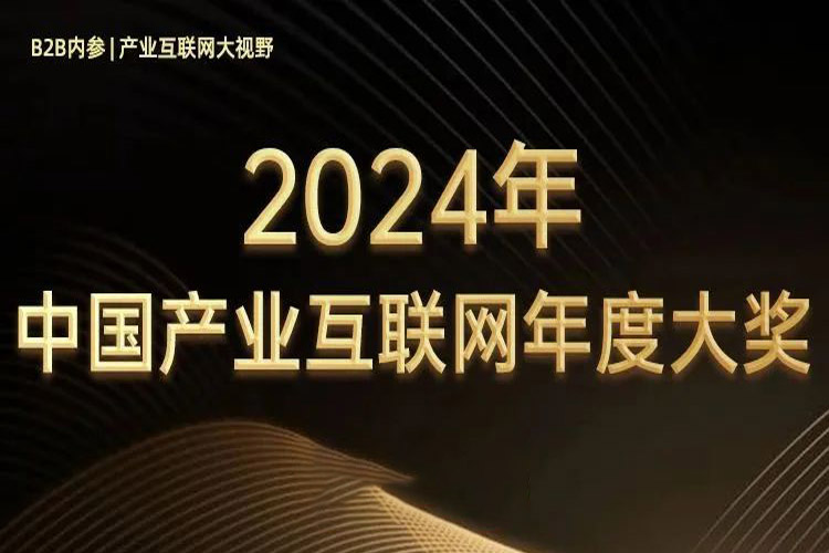 产业互联网年度奖项揭晓，国联股份成果丰硕