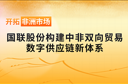 开拓非洲市场：国联股份构建中非双向贸易数字供应链新体系